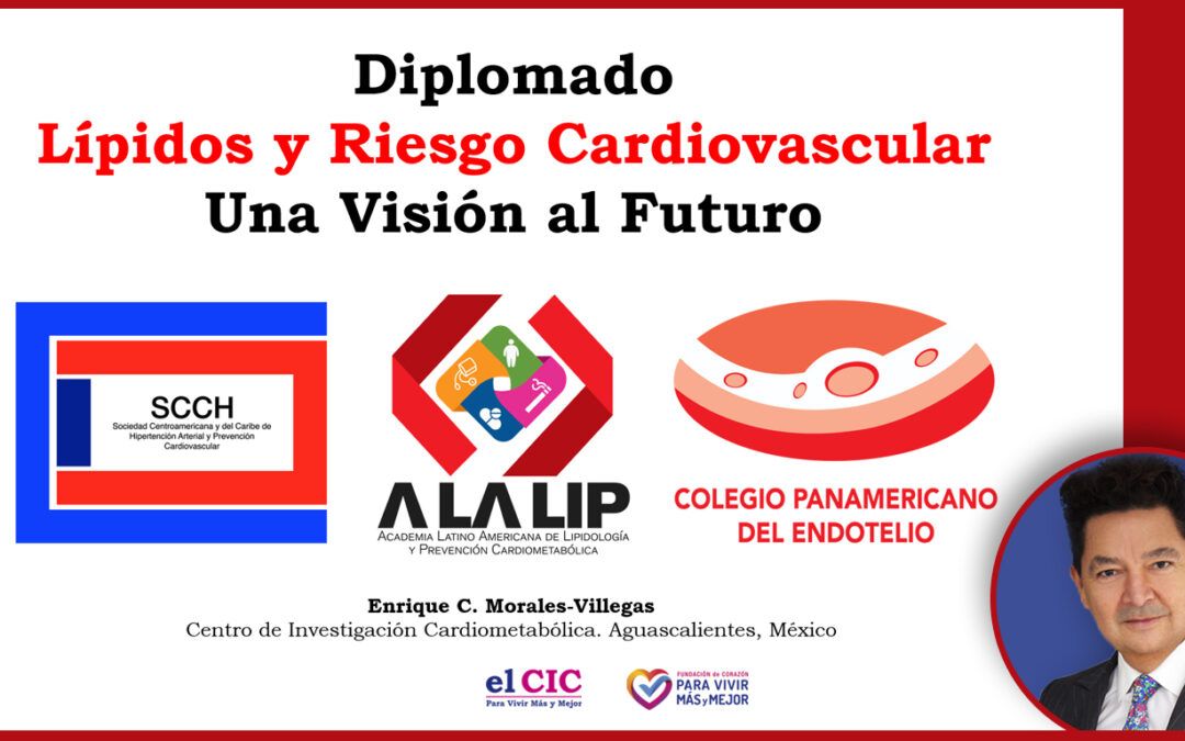 Diplomado ALALIP